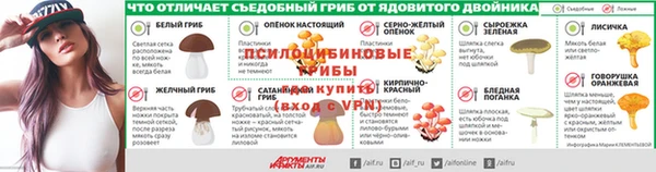 mdpv Магас