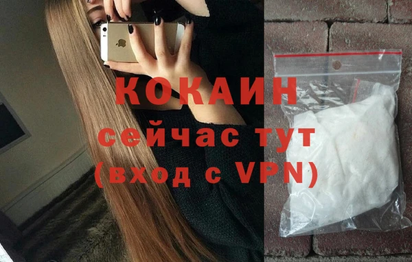 СК Медвежьегорск