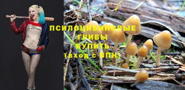 mdpv Магас